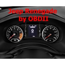 S7.49 - Dashboard programming by OBDII for Jeep Renegade